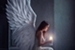 Fanfic / Fanfiction Angel's Wings