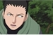 Fanfic / Fanfiction Minha Princesa ( Shikamaru x SN )