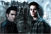 Fanfic / Fanfiction The Midnight Howl - Sterek