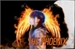 Fanfic / Fanfiction The Phoenix - Bakugou x OC