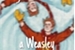 Fanfic / Fanfiction You must be a Weasley-Gêmeos Weasley