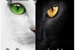 Fanfic / Fanfiction Gatos Guerreiros: A Ascensão da Noite