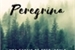 Fanfic / Fanfiction Peregrina