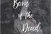 Fanfic / Fanfiction Born of the Dead