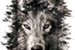 Fanfic / Fanfiction Os lobos de PortVille: O segredo dos lobos