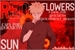 Fanfic / Fanfiction Red Sunflowers