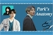 Fanfic / Fanfiction Park's Anatomy - Jeon Jungkook