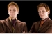 Fanfic / Fanfiction Shades of Weasley - Fred & George Weasley