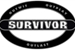 Fanfic / Fanfiction Survivor Spirit (RPG)