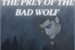 Fanfic / Fanfiction The Prey of the Bad Wolf