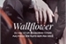 Fanfic / Fanfiction Wallflower