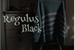 Fanfic / Fanfiction Regulus Black, o orgulho da família (era dos marotos)