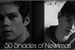 Fanfic / Fanfiction 50 Shades of Newtmas