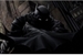 Fanfic / Fanfiction Batman - Arkham Embers