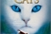 Fanfic / Fanfiction Gatos Guerreiros livro 5-Um Caminho Perigoso- Erin Hunter