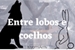 Fanfic / Fanfiction Entre lobos e coelhos
