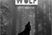 Fanfic / Fanfiction Wolf - Drarry