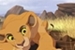 Fanfic / Fanfiction Rei Leão - A primeira filha de Simba e Nala