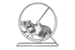 Fanfic / Fanfiction Rodinha de Hamster