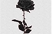 Fanfic / Fanfiction Dark Rose - Imagine Gaara x FemReader