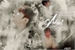 Fanfic / Fanfiction Adeus - Jeon Jungkook