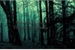 Fanfic / Fanfiction Histórias de Terror: Floresta de Somnia