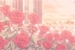 Fanfic / Fanfiction A beautiful rose garden -changlix-Seungchan-minsung-hyunin