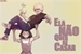 Fanfic / Fanfiction Ela Não Quer se Casar