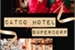 Fanfic / Fanfiction Catco Hotel - Supercorp