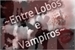 Fanfic / Fanfiction Entre Lobos E Vampiros (Jikook, Namjin, Taeyoonseok)