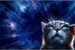 Fanfic / Fanfiction Guia ao universo de Gatos Guerreiros (LEIA A SINOPSE)