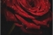 Fanfic / Fanfiction Sobre Rosas e Seus Espinhos