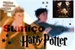 Fanfic / Fanfiction Sumiço e Harry Potter