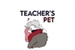 Fanfic / Fanfiction Teacher's Pet - kakasaku