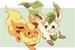 Fanfic / Fanfiction Flareon X Leafeon