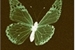 Fanfic / Fanfiction Gaiola de borboletas