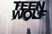 Fanfic / Fanfiction Teen Wolf ( A nova geração )