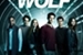 Fanfic / Fanfiction Teen Wolf ( Imagine )