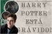 Fanfic / Fanfiction Harry Potter está Grávido!