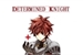 Fanfic / Fanfiction Determined Knight