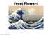Fanfic / Fanfiction Frost Flowers