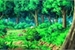 Fanfic / Fanfiction Pokémon: Jornada obscura