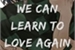 Fanfic / Fanfiction We can learn to love again