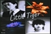 Fanfic / Fanfiction Little Tiger - YoonKook