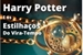 Fanfic / Fanfiction Harry Potter e os Estilhaços do Vira-Tempo