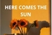 Fanfic / Fanfiction Here comes the sun