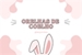 Fanfic / Fanfiction Orelhas de Coelho - Drarry