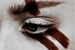 Fanfic / Fanfiction Amazonas