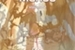 Fanfic / Fanfiction Heróis do Novo Mundo - Apocalipse - Volume 2