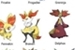 Fanfic / Fanfiction Pokemons de Kalos